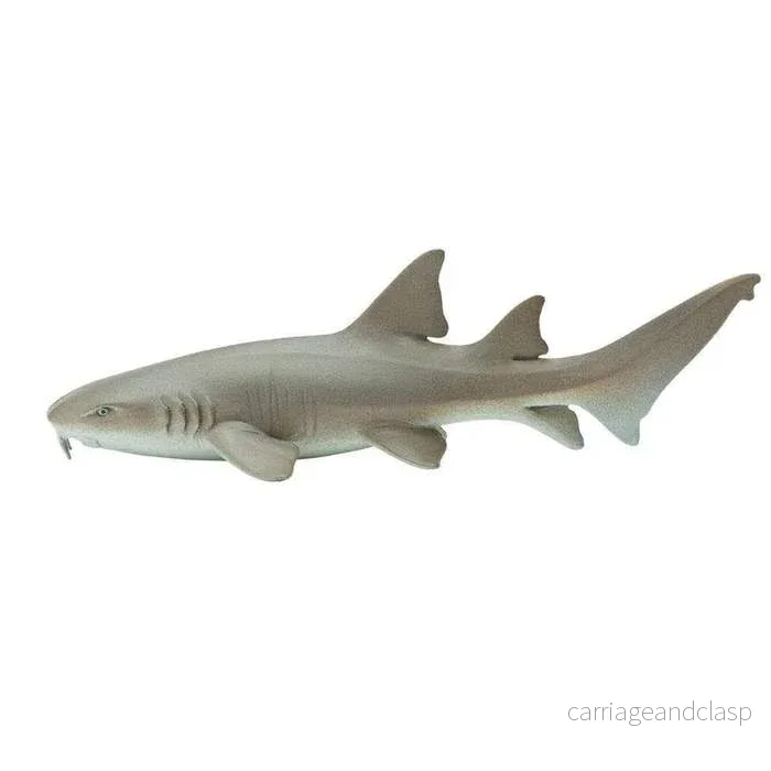 Amhaj (Nurse shark)