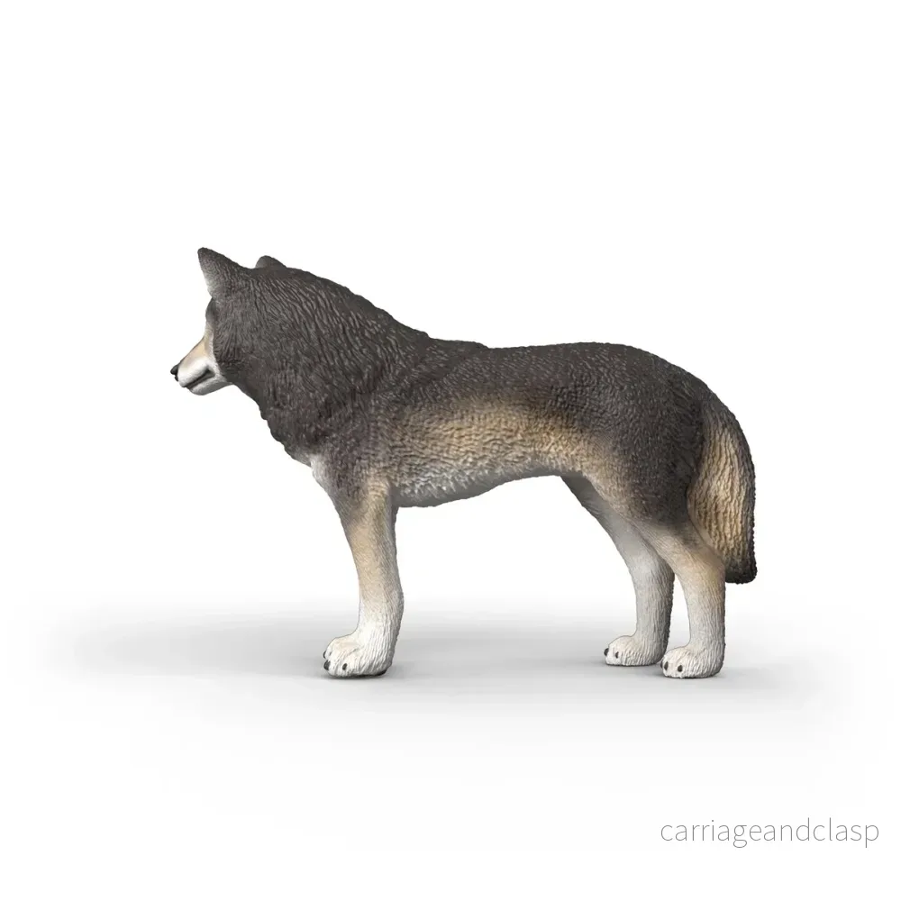 Schleich - Gråvarg (American Wolf) - Bild 3