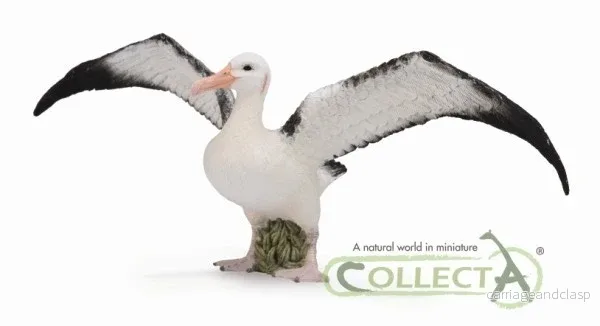 CollectA - Vandringsalbatross - Bild 2