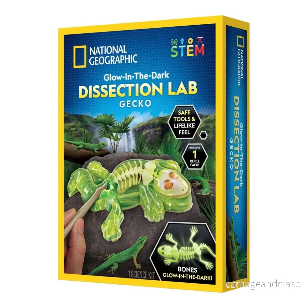 National Geographic - Gecko Dissektionslabb