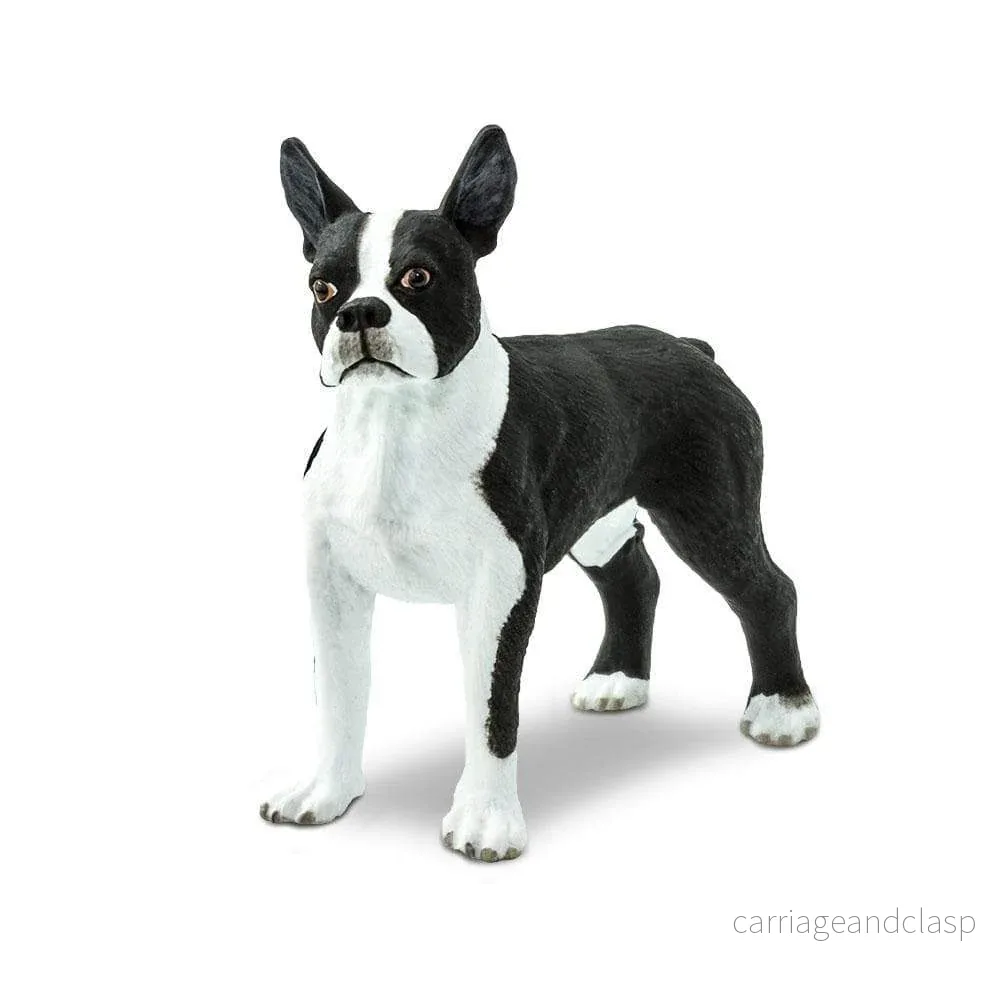 Safari Ltd - Bostonterrier