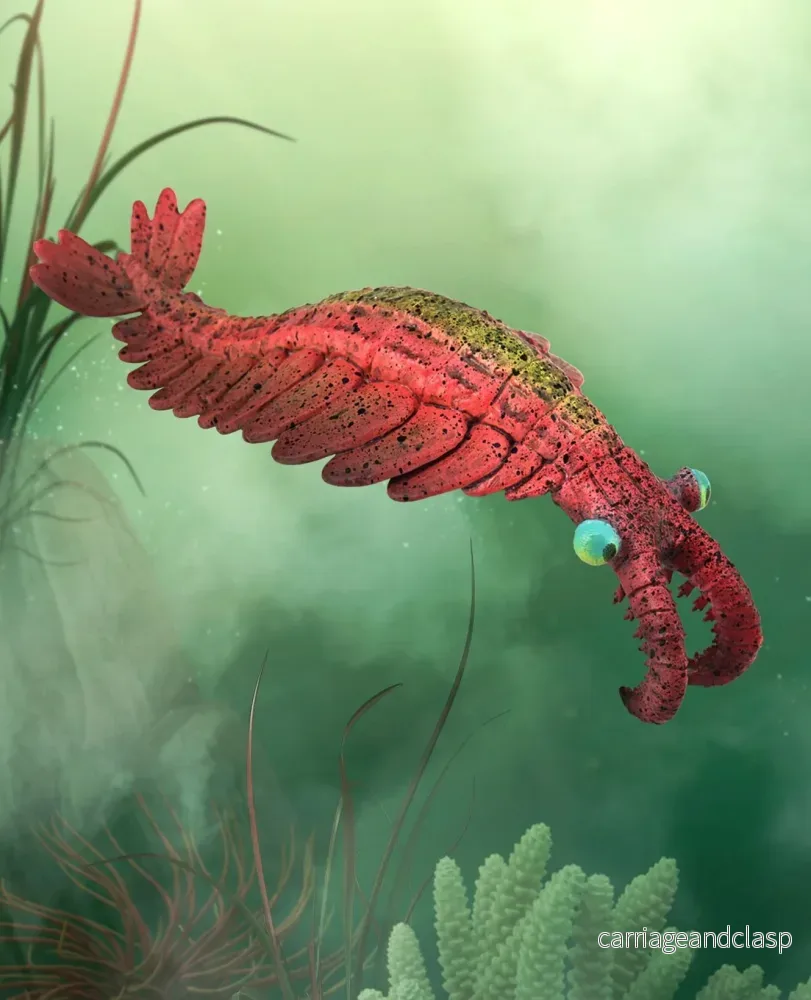 CollectA - Anomalocaris - Bild 2