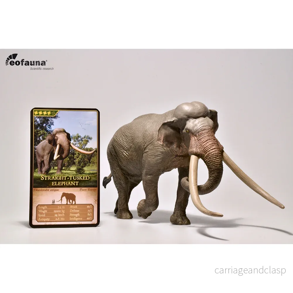 Eofauna - Palaeoloxodon Elefant (Straight-tusked elephant)