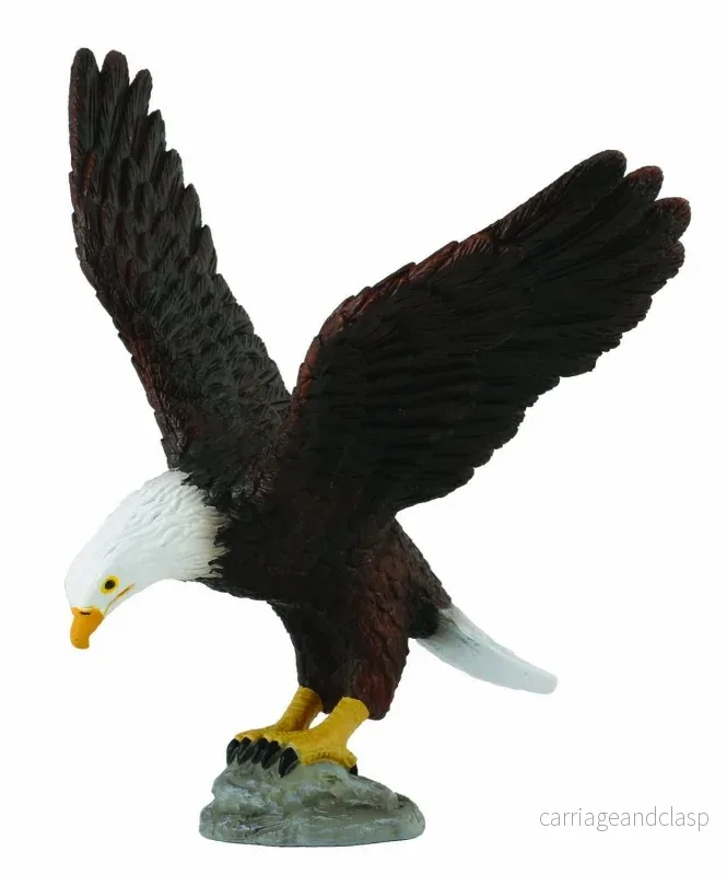 CollectA - Vithövdad havsörn (American Bald Eagle) - Bild 2
