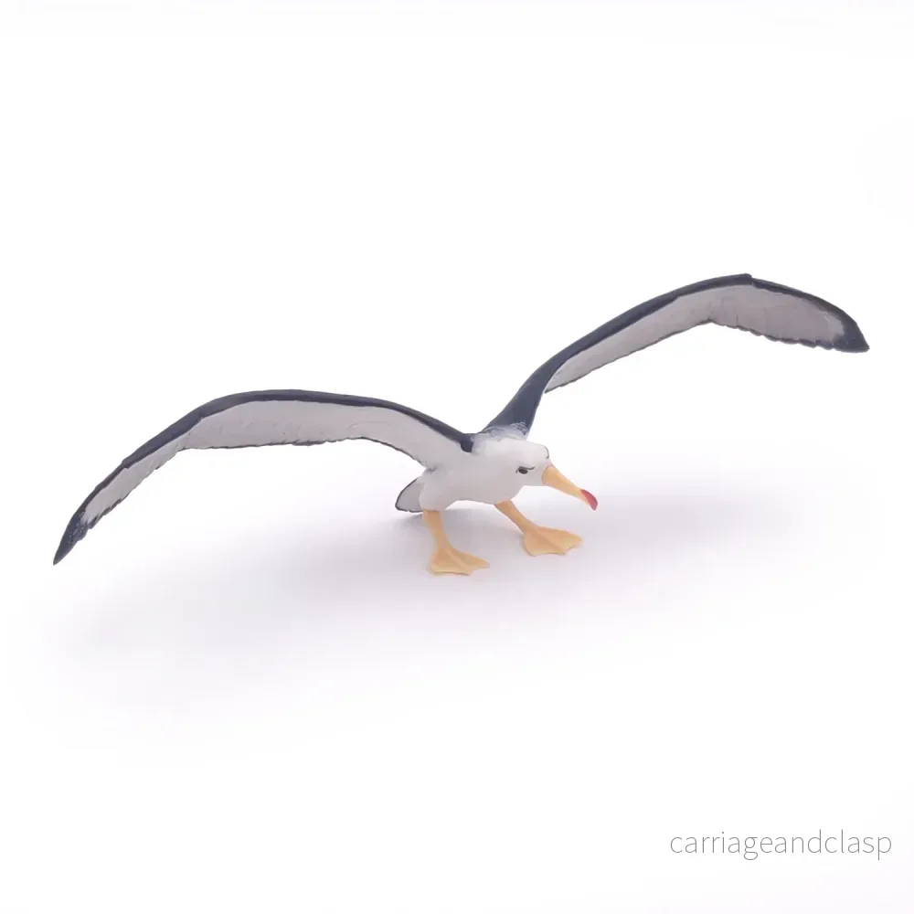 Papo - Albatross - Bild 2