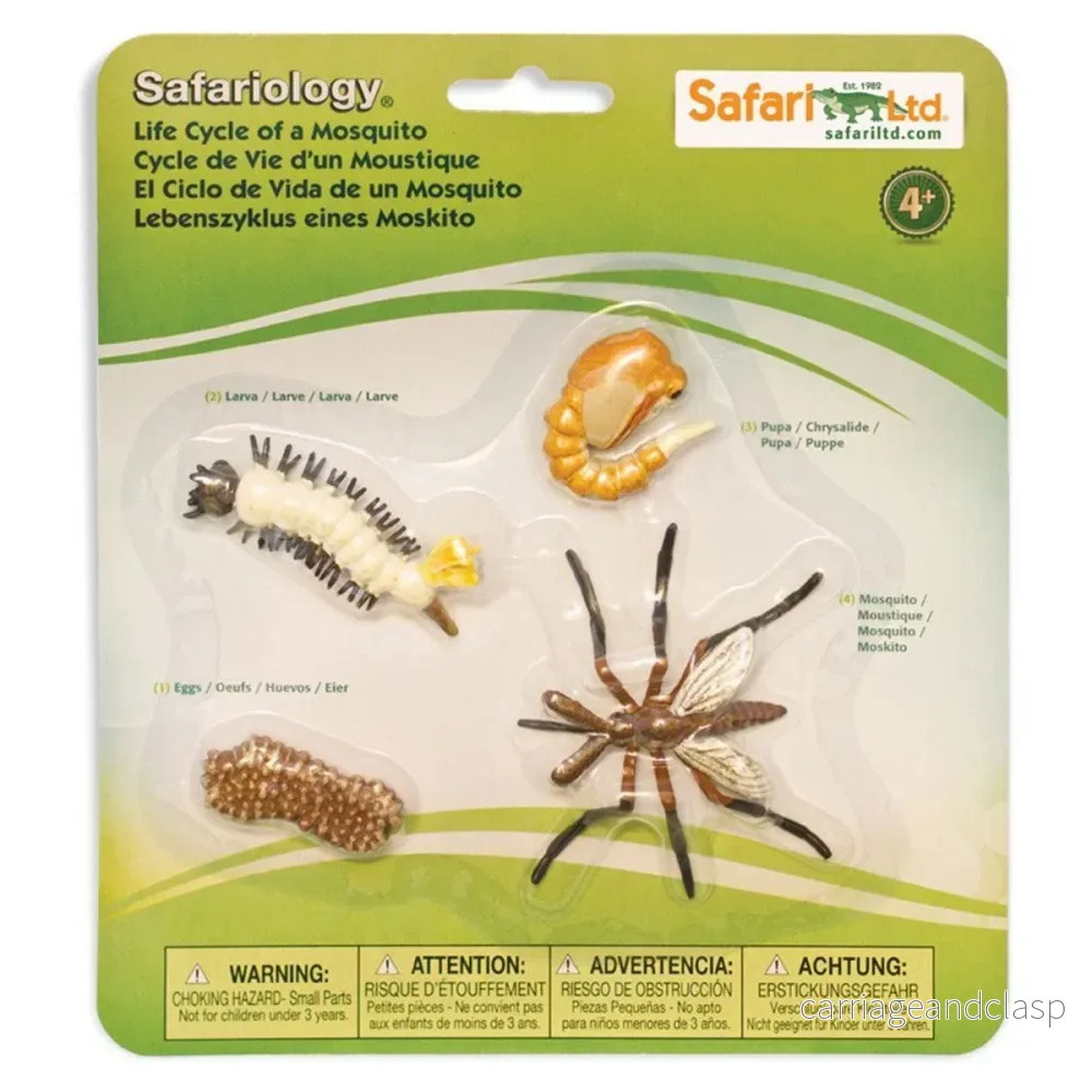 Safari Ltd - Livscykel av en mygga - Safariology®