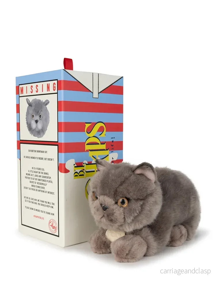 B.T. Chaps – Freddy the British Shorthair in giftbox B.T. Chaps – Freddy the British Shorthair in giftbox