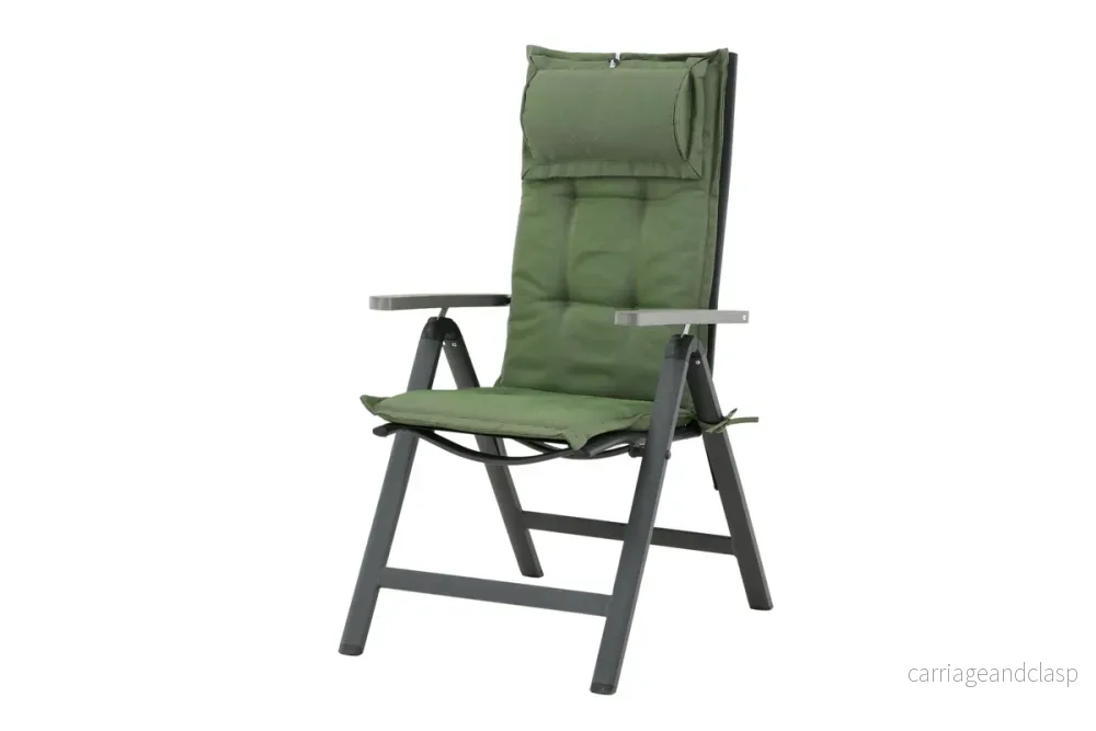 Olive Dyna 116 x 46 - Bild 2