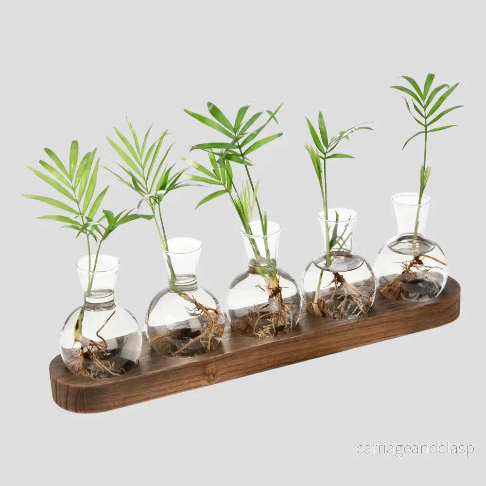 Vas - Elegant Hydroponisk Glasvas | Veska - Bild 2