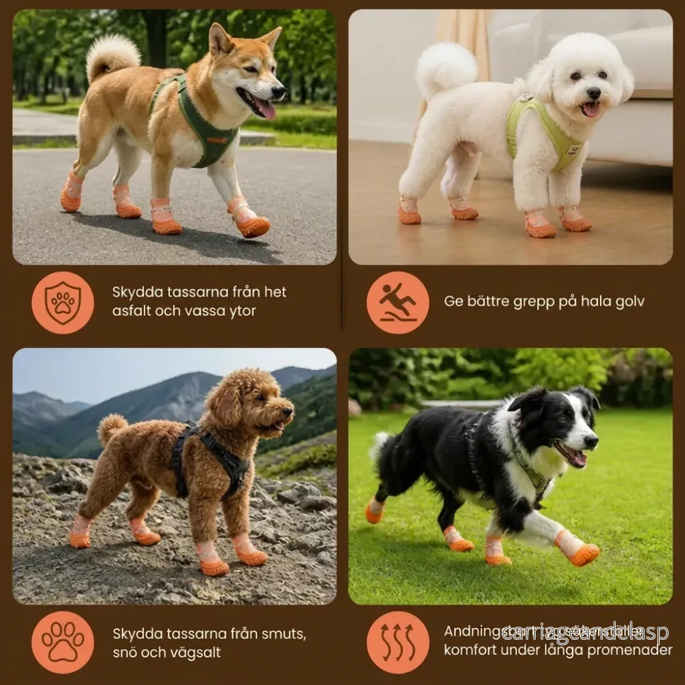 Skyddande Hundskor Med Justerbara Remmar För Bekväma Promenader Utomhus - Bild 3