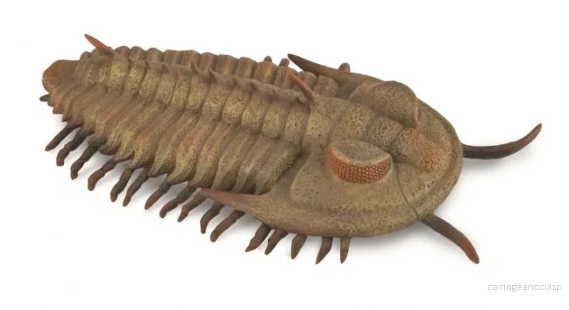 CollectA - Trilobit (Redlichia rex) - Bild 2