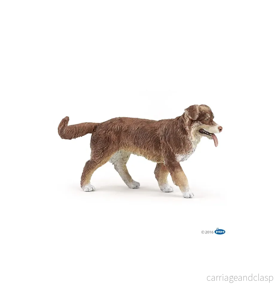 Papo – Australian shepherd