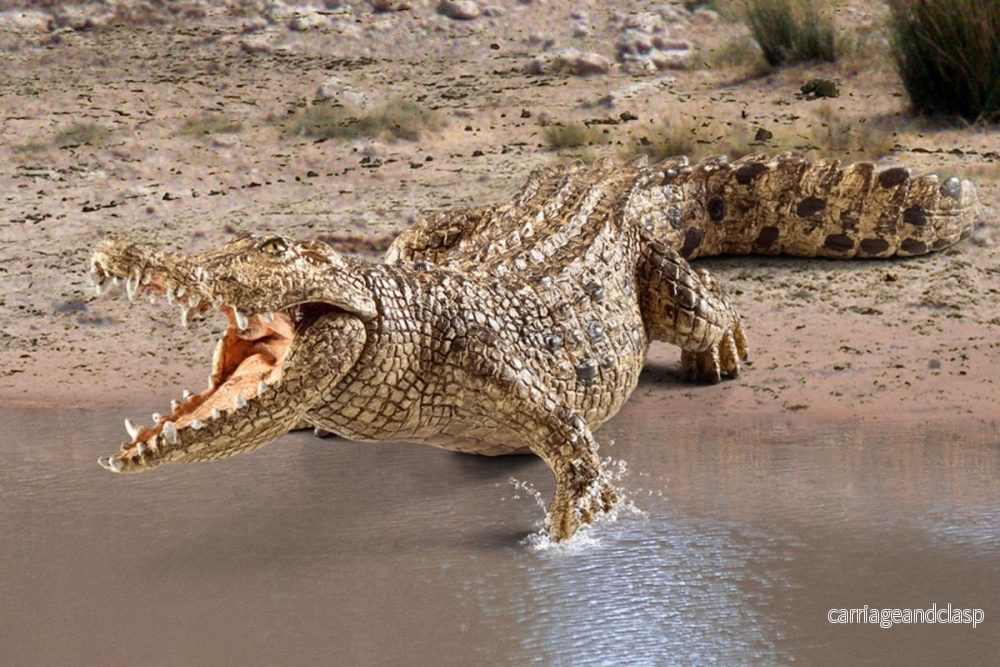 Schleich - Krokodil - Bild 3