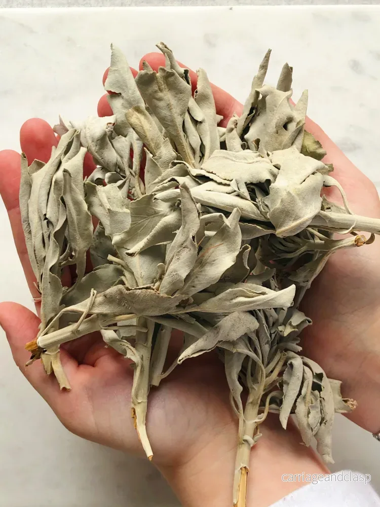 Lös Vit Sage (28g) Premium Quality - Bild 2