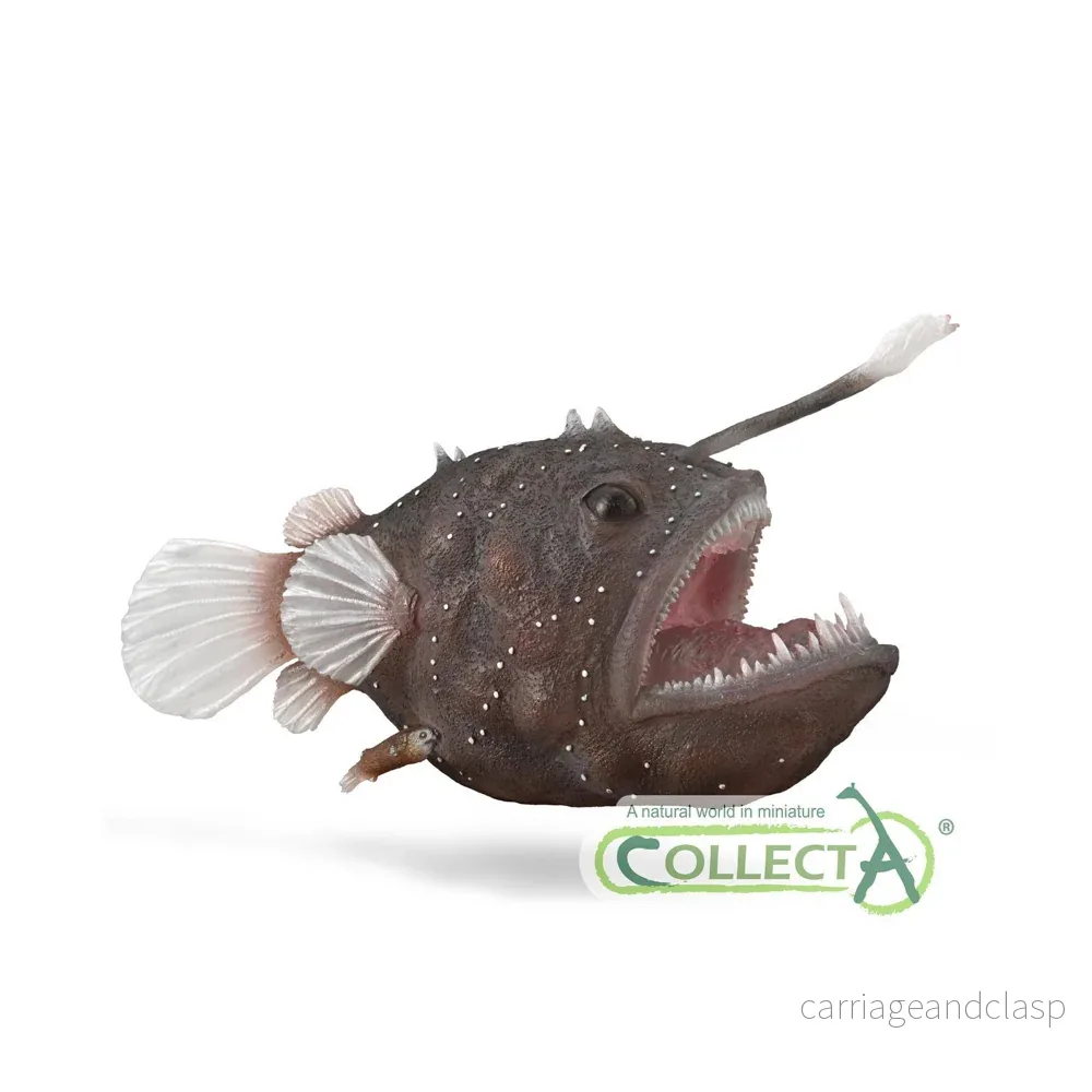 ColletA – Marulk ColletA – Marulk