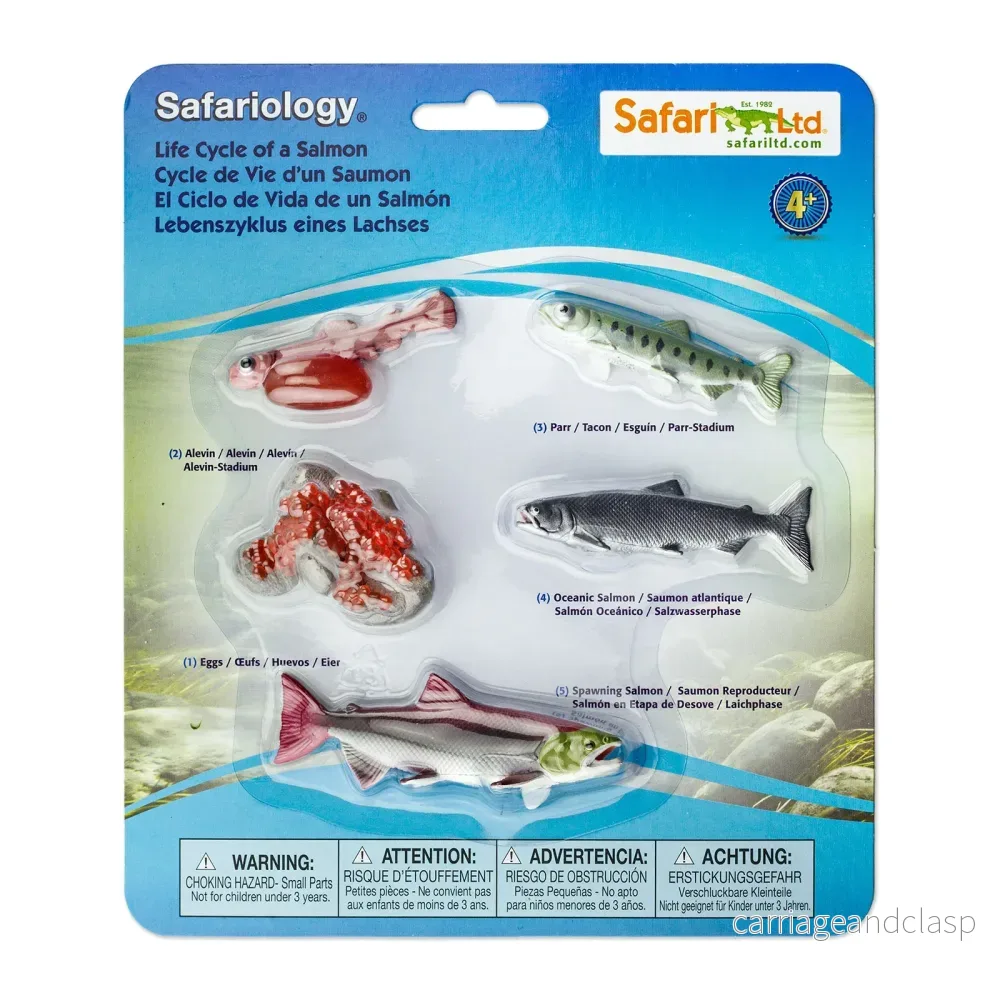Safari Ltd - Livscykel av en lax - Safariology®