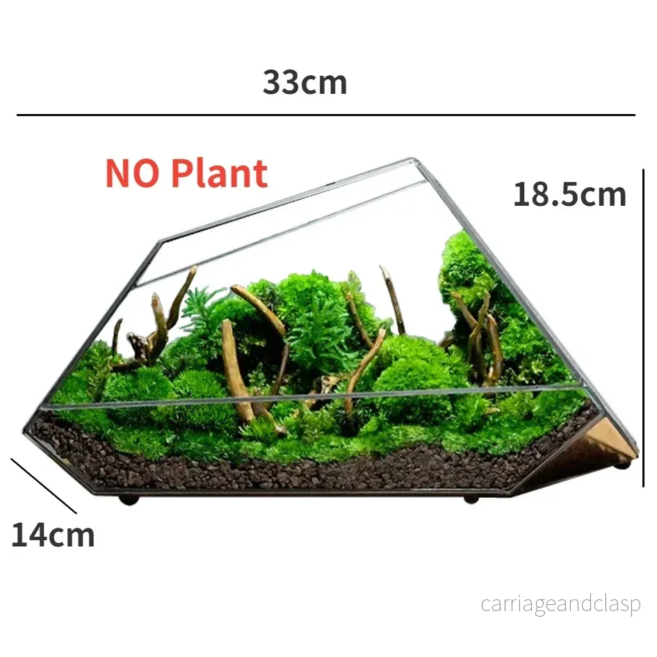 Geometrisk Glas Mossa Planter Terrarium Vas | Veska