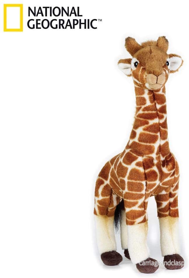 National Geographic: Giraff National Geographic: Giraff
