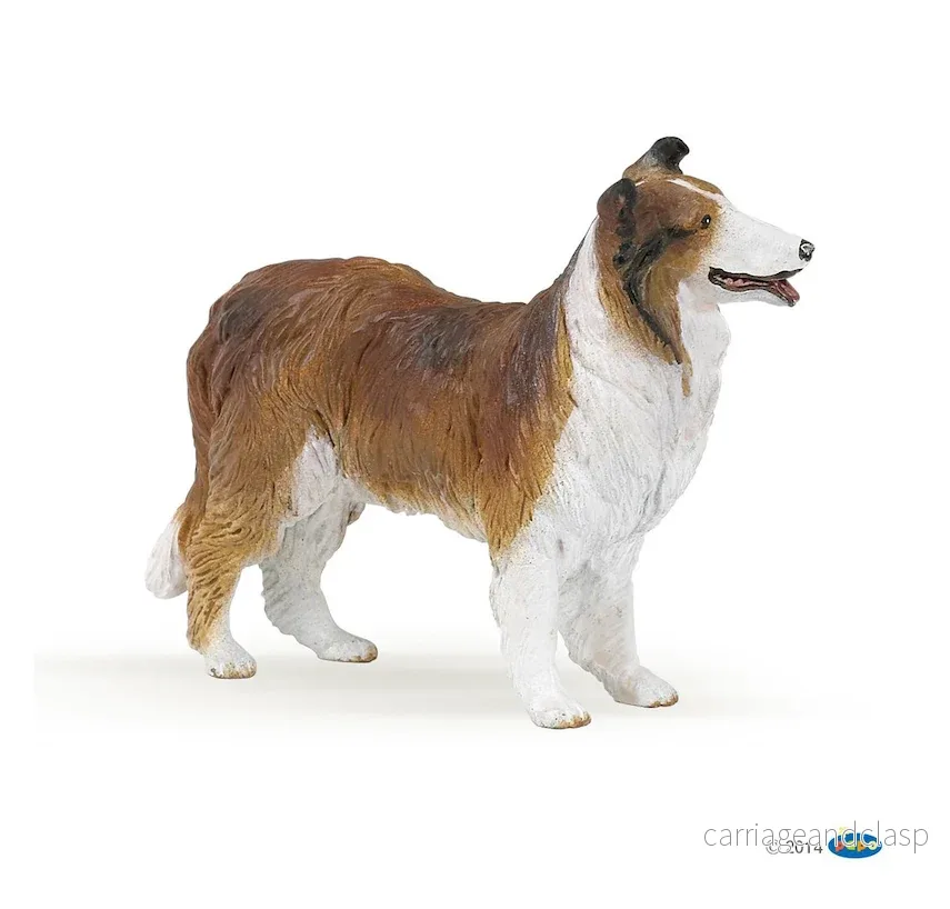 Papo - Collie