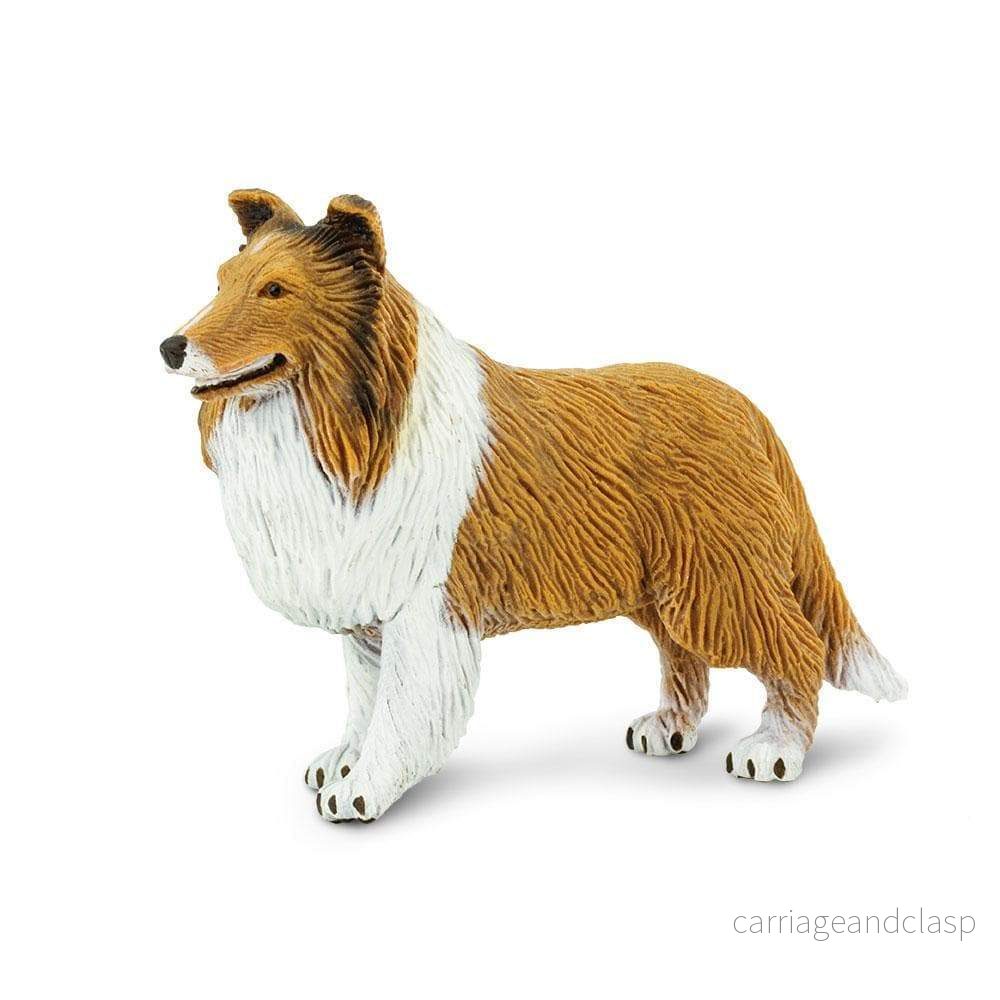 Safari Ltd - Collie