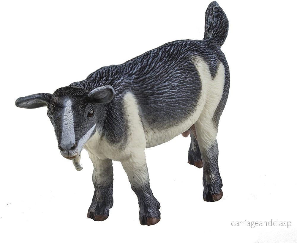 Safari Ltd - Pygmy get ( afrikansk dvärgget) - Bild 2