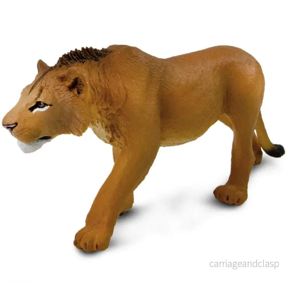 Safari Ltd - Ung lejonhane - Bild 3