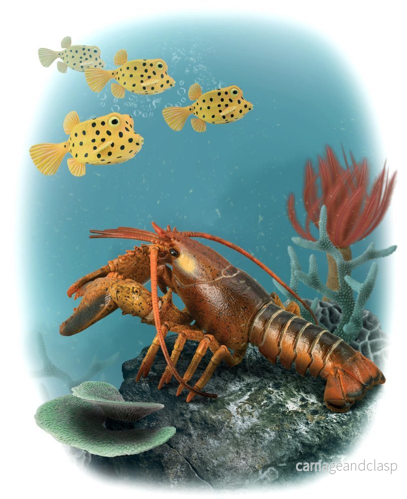 Collecta - Hummer - Bild 2