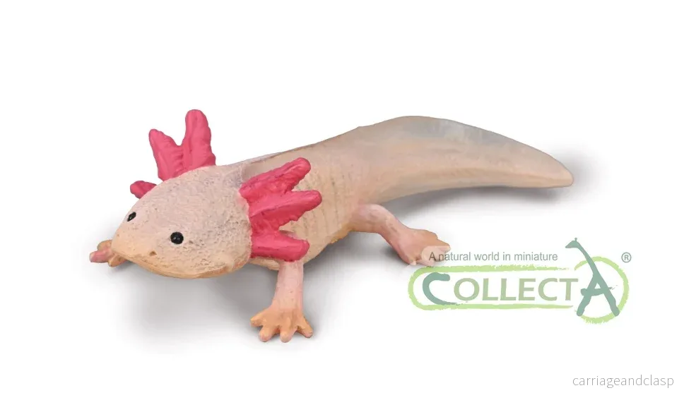 CollectA - Axolotl - Bild 3
