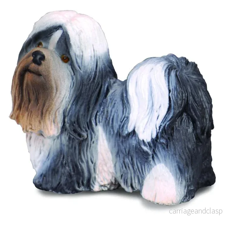 ColletcA – Shih tzu ColletcA – Shih tzu
