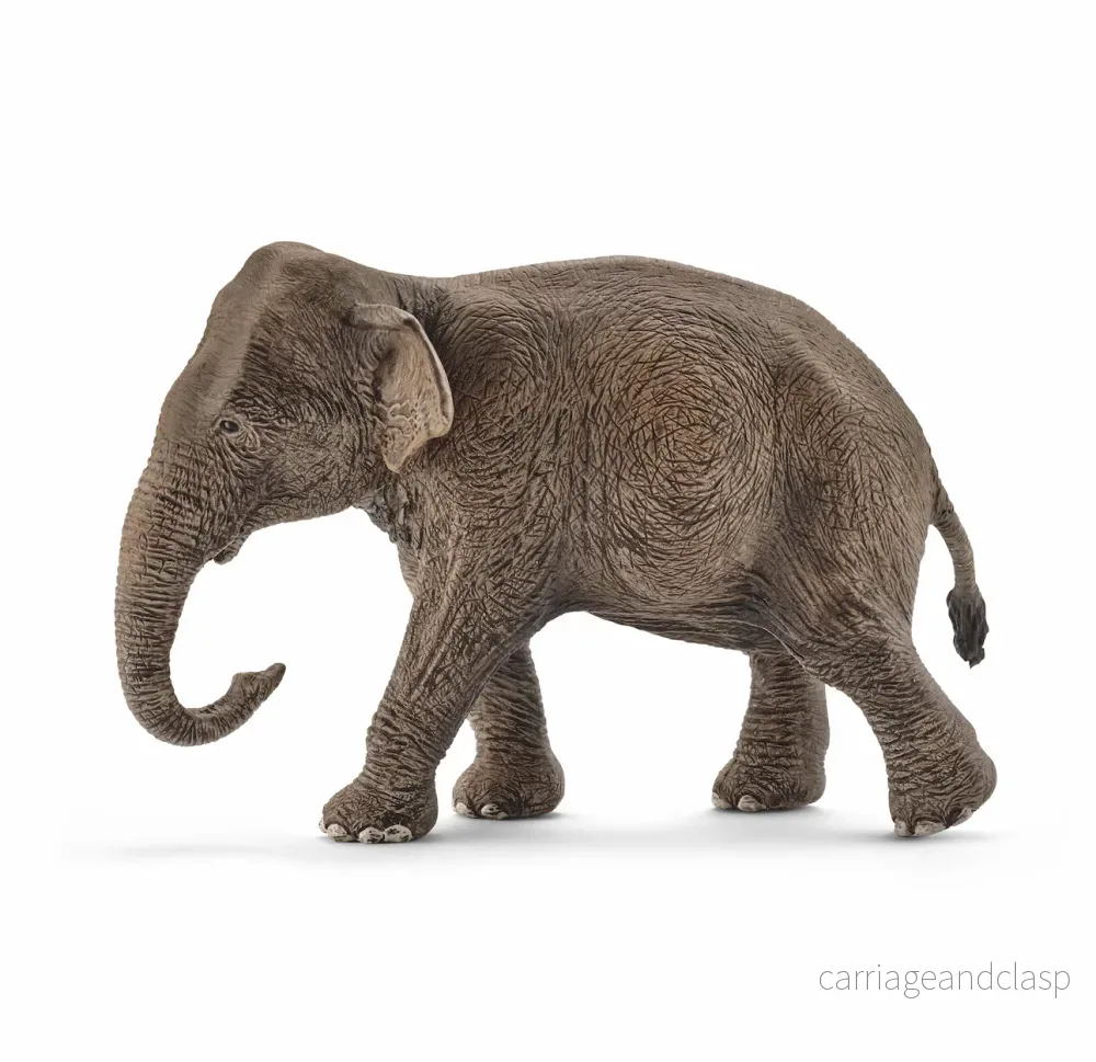 Schleich – Asiatisk elefanthona Schleich – Asiatisk elefanthona