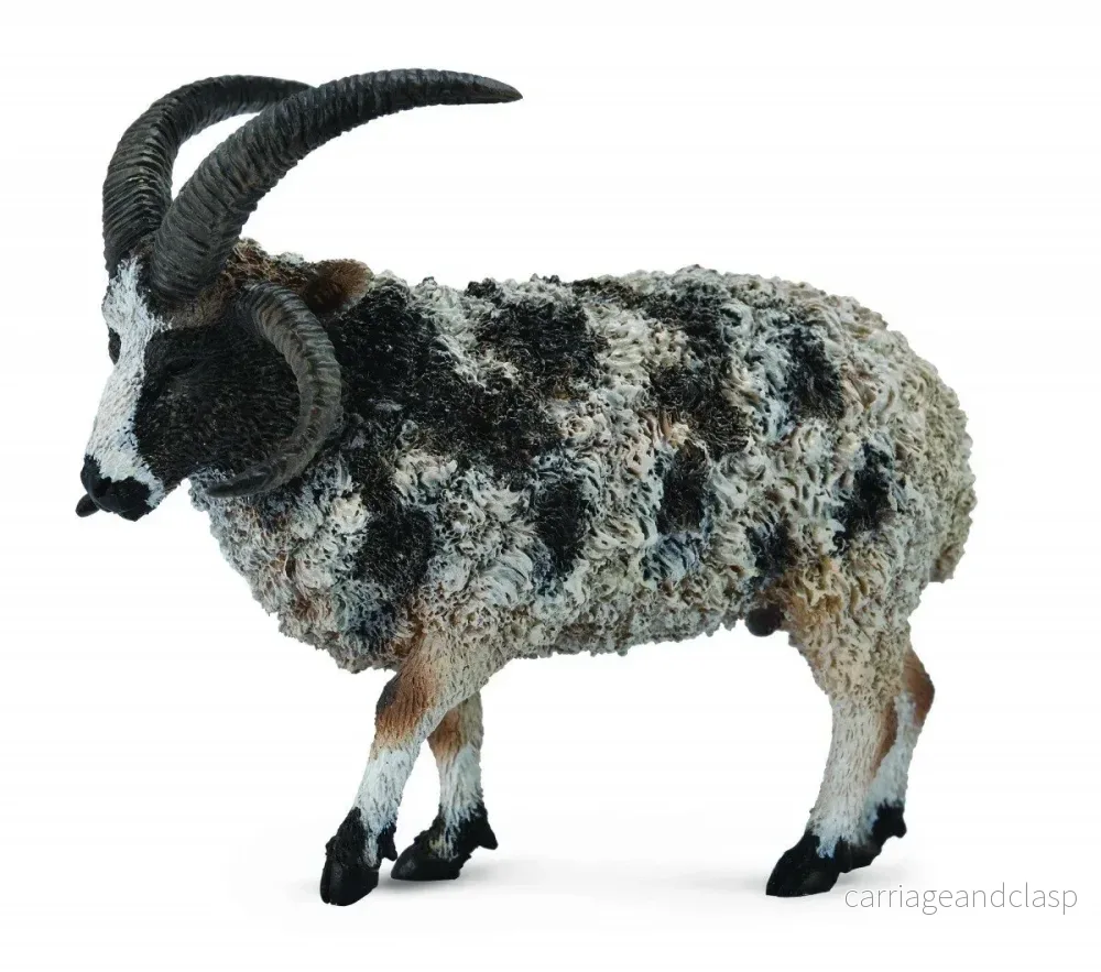 CollectA - Jacobsfår