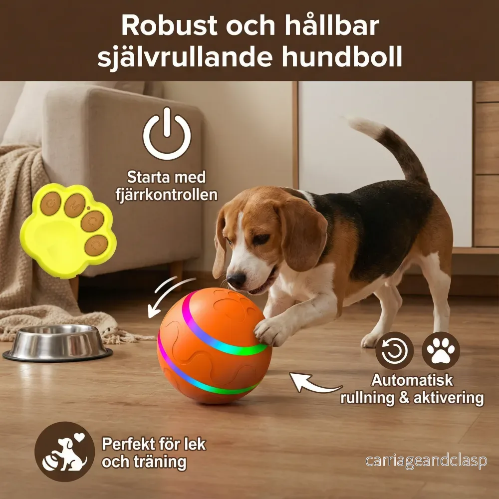 Robust och hållbar självrullande hundboll - Bild 2