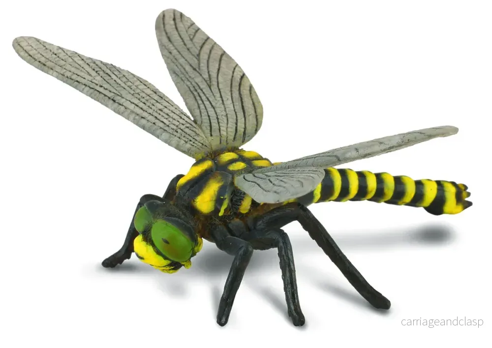 CollectA – Kungstrollslända (Golden-ringed Dragonfly) CollectA – Kungstrollslända (Golden-ringed Dragonfly)
