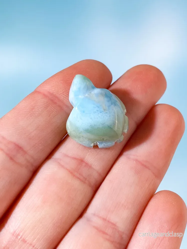Larimar Sköldpadda (Nr. 2)