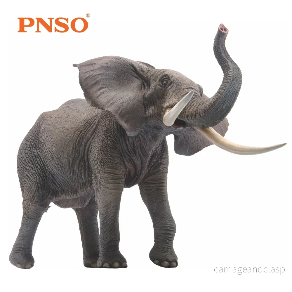 PNSO Mamman the African Elephant - Bild 2