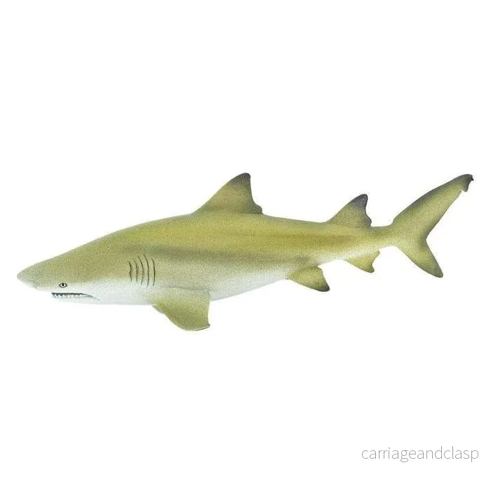 Safari Ltd - Citronhaj - Bild 3