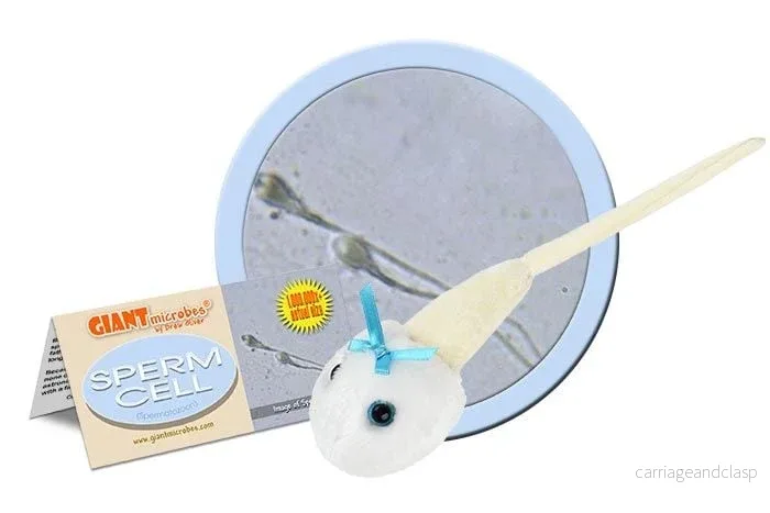 GIANTmicrobes - Spermie (Spermatozoon)