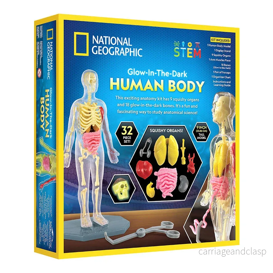 National Geographic - Utforska Människokroppen Kit - Bild 3