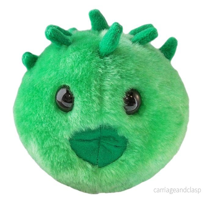 GIANTmicrobes - Chlamydia (Chlamydia Trachomatis) - Klamydia - Bild 2