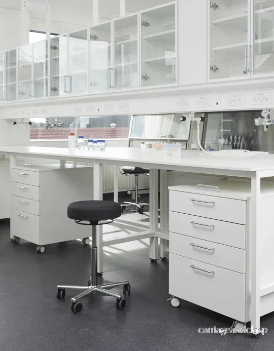 Lab pall fotbetjänt - Bild 2