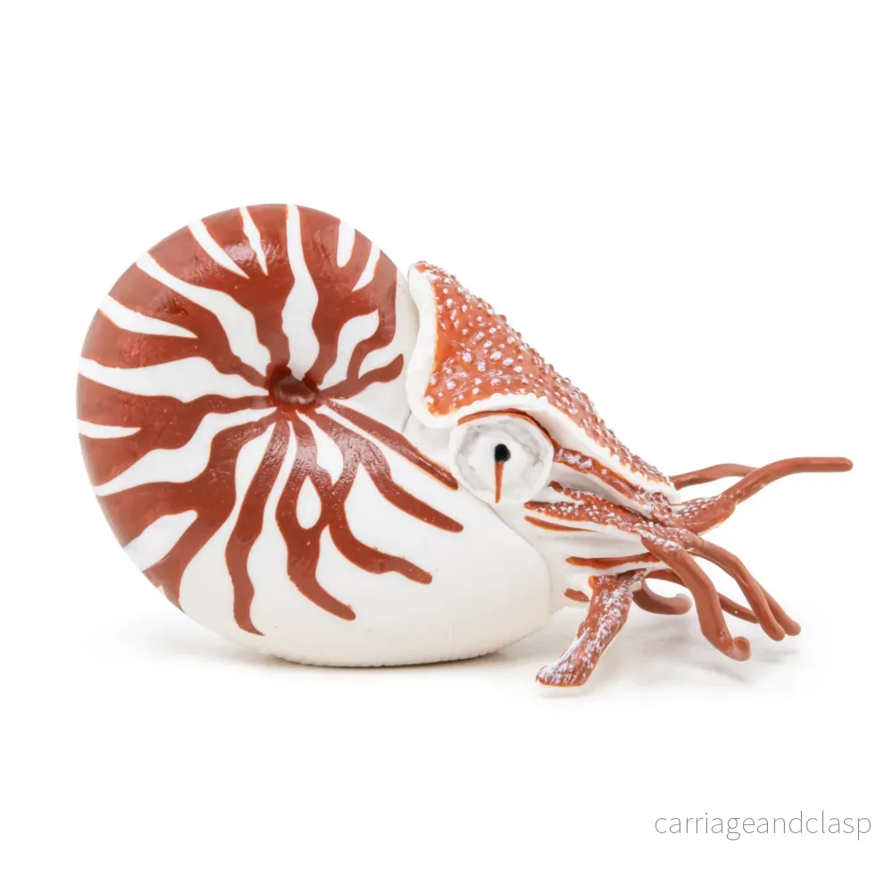 Papo - Nautilus - Bild 2