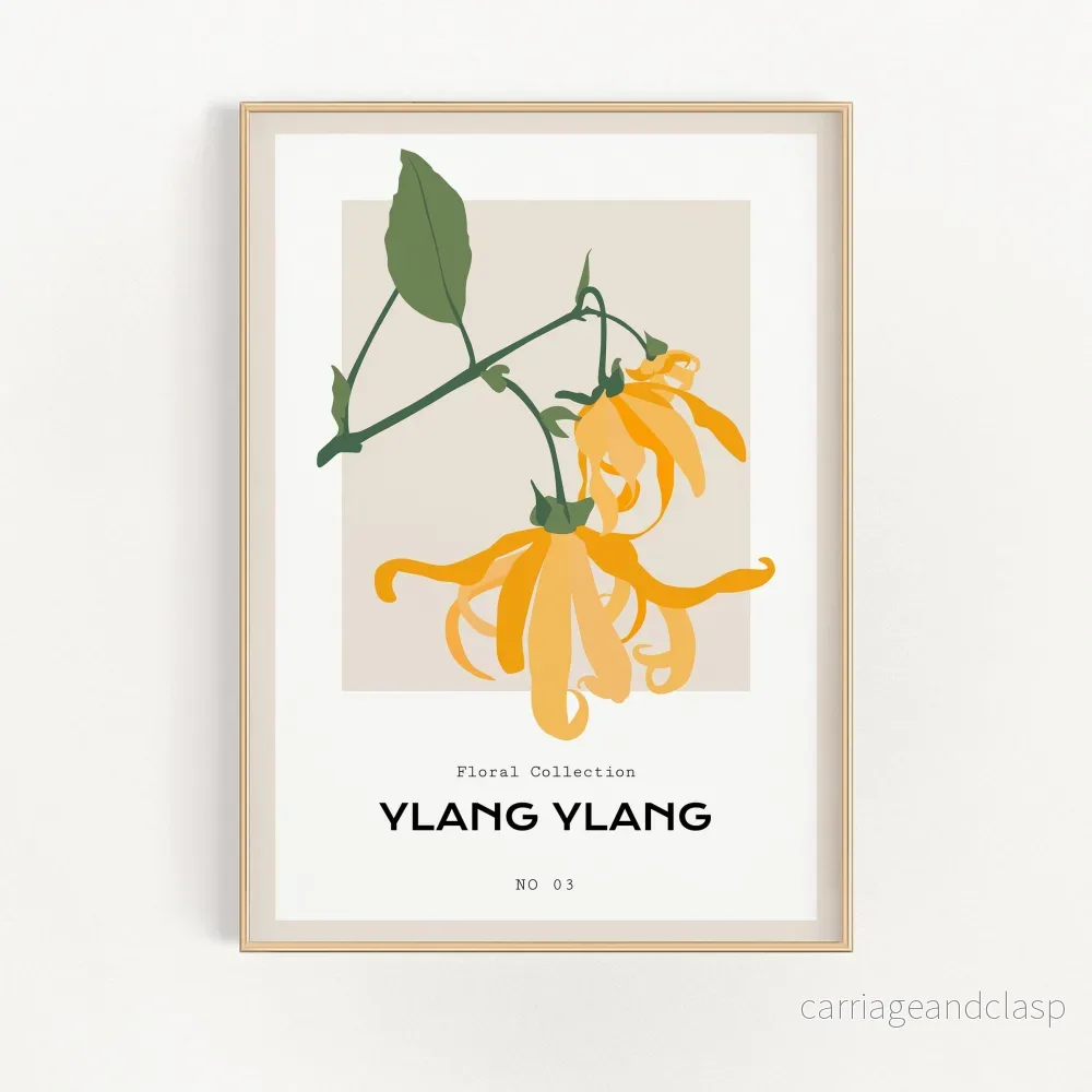 Ylang Ylang | Veska