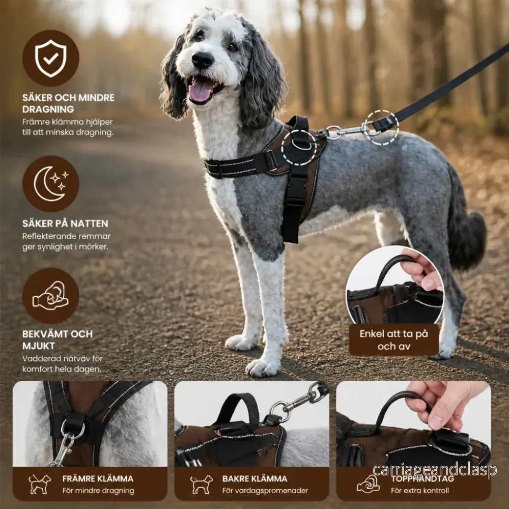 Reflekterande justerbart hundsele med 3 koppelklämmor – vadderat för promenader och träning - Bild 2