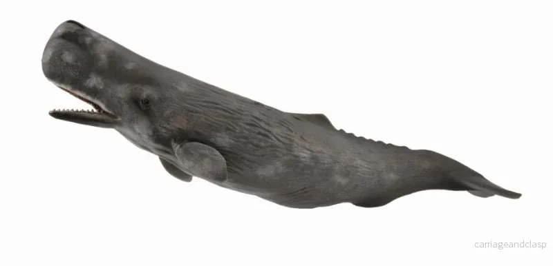 CollectA - Kaskelot - Bild 2