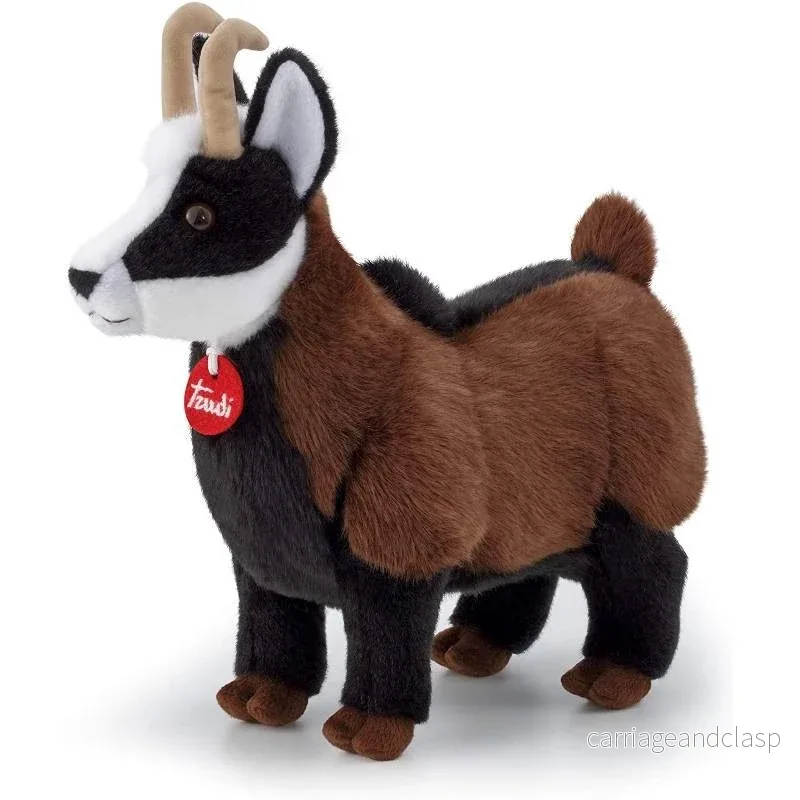 Afrikanska Dvärggeten Chamois