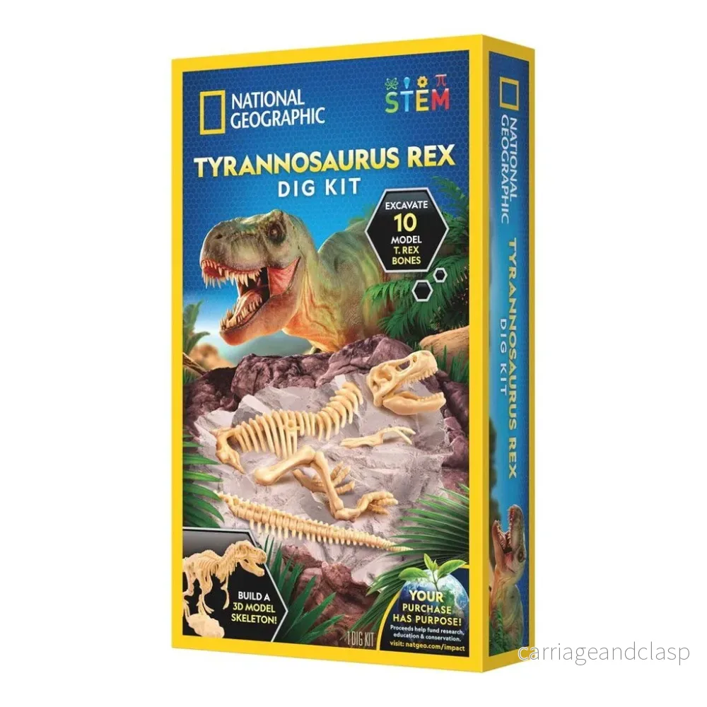National Geographic - Tyrannosaurus Rex Dig Kit