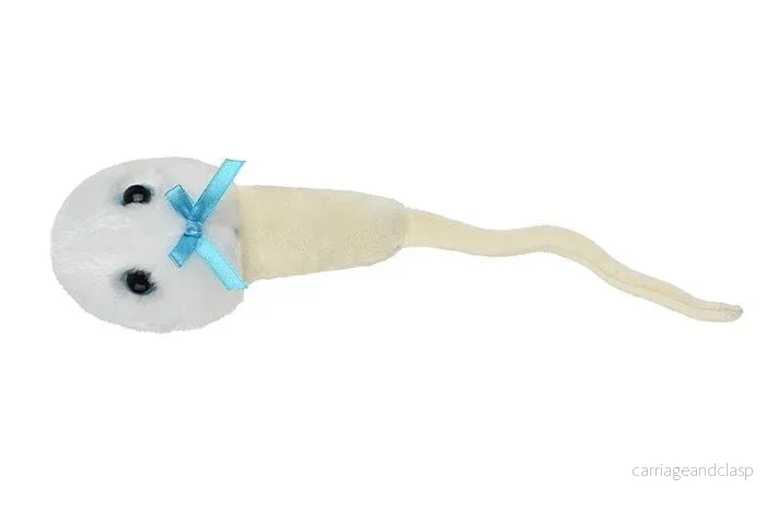 GIANTmicrobes - Spermie (Spermatozoon) - Bild 3