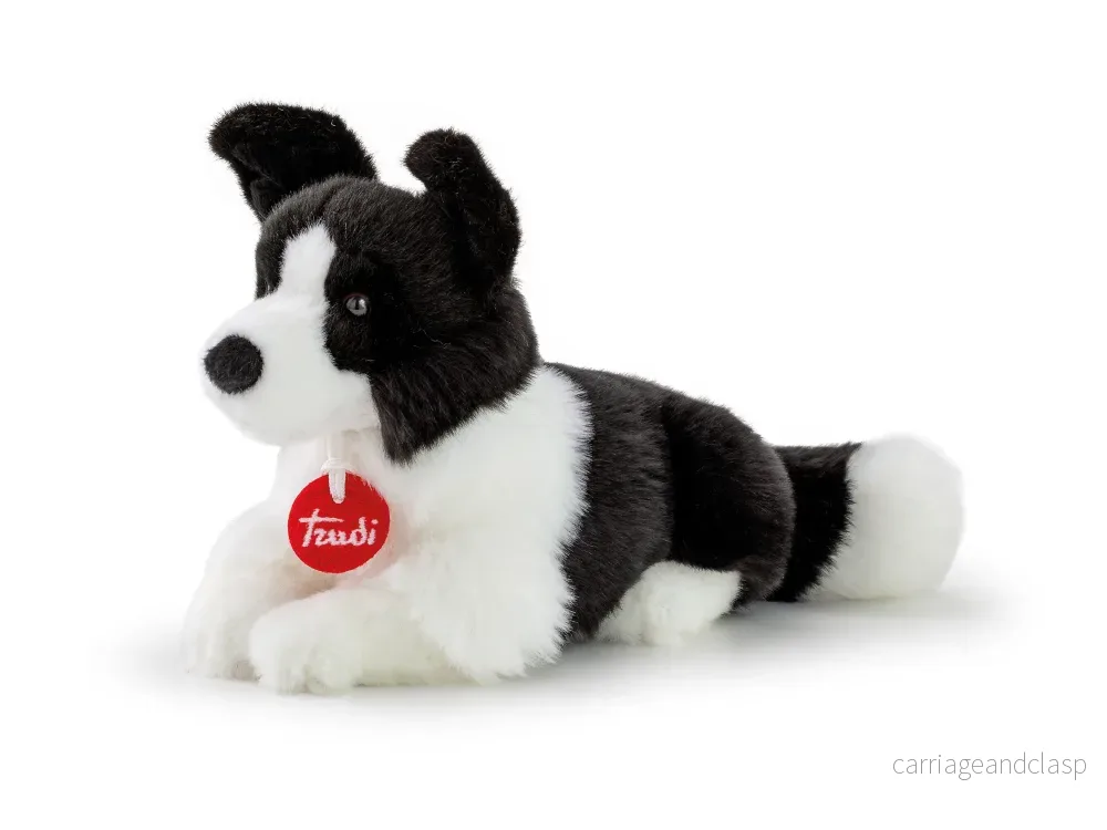 Trudi - Border Collie Scott, S