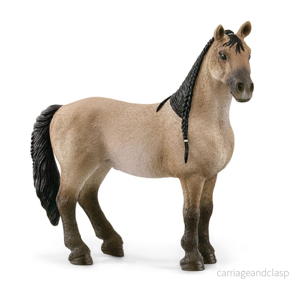 Schleich – Criollo-sto Schleich – Criollo-sto