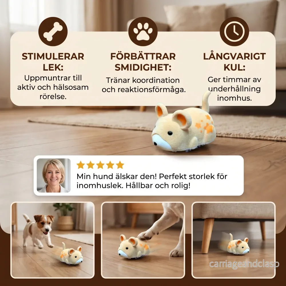 Aktiv hamsterleksak för hundar inomhus - Bild 3